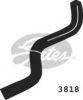 GATES 3818 Radiator Hose